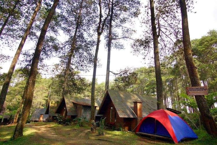 Dari Puncak ke Danau: Tempat Camping Favorit di Lembang